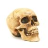 Grinning Skull Figurine